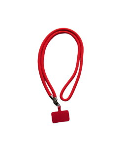 BACKYARD FAMILY X}zV_[Xgbv [ X}zObYEI[fBI@ ̑̃X}zObYEI[fBI@ bh