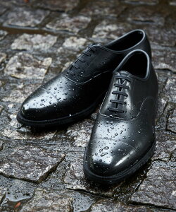 OzR yh FY/BOSUI TOMOJIROzXg[g`bv TE}`E V[YEC ̑̃V[YEC ubNyz