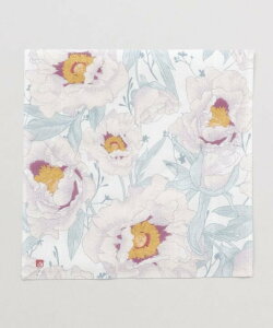 J yJzԂӂ A~iRNV HEELb`pi EtCp bh