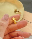 【 金属アレルギー対応 】 シャイニースターピアス サージカルステンレス 367L