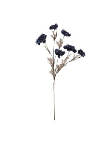 Francfranc A[gt[ [^XsIj[ tt CeAEG IuWFEuEA[g u[