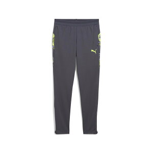 【SALE/30%OFF】PUMA キッズ サッカー INDIVIDUALCUP トレーニング パンツ 120-160cm プーマ パンツ ジャージ・スウェットパンツ グレー