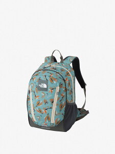 �ySALE�^30%OFF�zTHE NORTH FACE �y�����z���E���f�B(�L�b�Y) �U�E�m�[�X�E�t�F�C�X �o�b�O �����b�N�E�o�b�N�p�b�N�y���������z