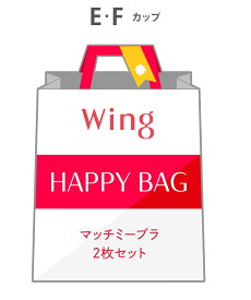 Wing 【福袋】ウイング マッチミーブラ 2枚セット E-Fカップ ウイング インナー・ルームウェア ブラジャー【送料無料】