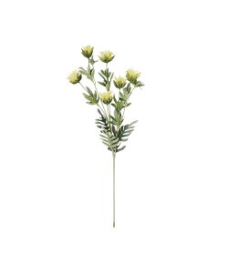 Francfranc �A�[�g�t�����[ �V�X�� ���C�g�C�G���[ �t�����t���� �C���e���A�E�����G�� �I�u�W�F�E�u���E�A�[�g �C�G���[