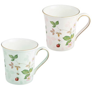 WEDGWOOD [] EFbWEbh Ch Xgx[ pXe }O yA EFbWEbh HEELb`pi OXE}OJbvE^u[yz