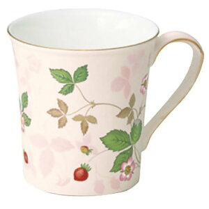 WEDGWOOD [] EFbWEbh Ch Xgx[ pXe }O sN EFbWEbh HEELb`pi OXE}OJbvE^u[ sNyz