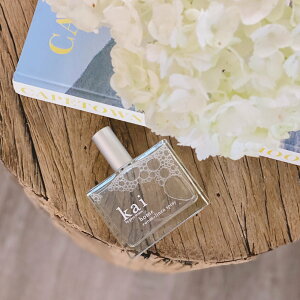 kai ()[lXv[ JC CeAEG fBt[U[EEA}ICELh u[yz