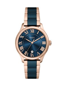 FOSSIL tHbV rv fB[X AiO ~bNX CE1134 tHbV ANZT[Erv rvyz