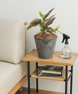 URBAN RESEARCH DOORS amabro ART STONE S GY �A�[�o�����T�[�`�h�A�[�Y ���܁E�M�t�g�E���̑� ���̑� �O���[