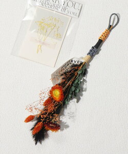 ySALE^50%OFFzstudio CLIP vU[uht[ Mtgu[P X^fBINbv t@bVG `[EL[`F[ u[ IW bh