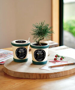 LAKOLE N[J^݂t] R CeAEG IuWFEuEA[g