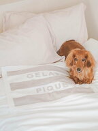 GELATO PIQUE CAT&DOG 【CAT&DOG】スムーズィー2ボーダーブランケット ジェラートピケ ペット用品 その他…