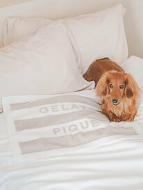 GELATO PIQUE CAT&DOG 【CAT&DOG】スムーズィー2ボーダーブランケット ジェラートピケ ペット用品 その他のペット用品 ホワイト ピンク ブルー【送料無料】