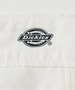 Dickies 別注 PAINTER パンツ