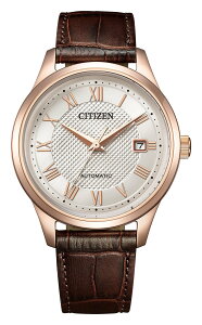 CITIZEN COLLECTION �V�`�Y�� �V�`�Y���R���N�V���� �����Y ���J�j�J�� NJ0252-05A �V�`�Y�� �A�N�Z�T���[�E�r���v �r���v�y���������z