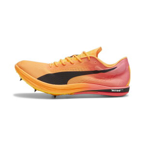 PUMA Y GHXs[h OfBX^X jg G[g p XpCN v[} V[YEC Xj[J[yz