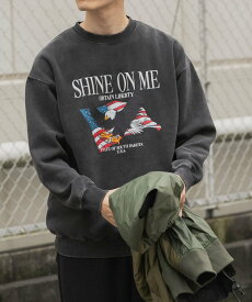 URBAN RESEARCH ITEMS パウダー加工 裏起毛スウェットプルオーバー アーバンリサーチアイテムズ トップス スウェット・トレーナー【送料無料】