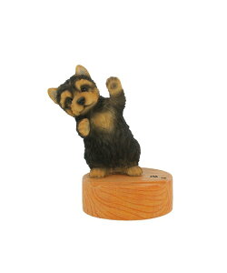 BACKYARD FAMILY X}zX^h [ X}zObYEI[fBI@ ̑̃X}zObYEI[fBI@