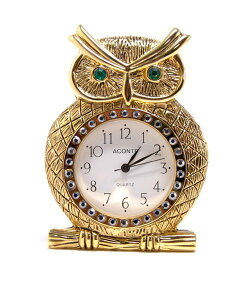 BACKYARD FAMILY ~jNbN [ CeAEG v S[h Vo[