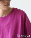 【antiqua】アンティカ バスク Tシャツ トレーナー レディース トップス NA-00487