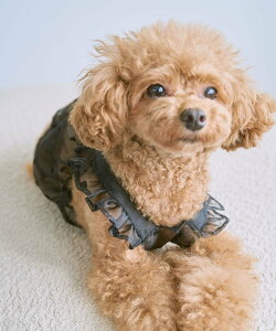 ySALE^50%OFFzROPE' PICNIC PASSAGE yDOGzVA[n[gL~\[ ysNjbN ybgpi ybgEFAEybg ubN