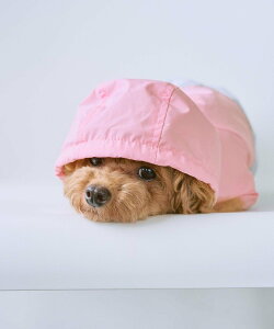 ySALE^50%OFFzROPE' PICNIC PASSAGE yDOGzyHzoCJ[}Eep[J[ ysNjbN ybgpi ybgEFAEybg sN