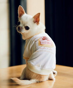 ySALE^20%OFFzROPE' PICNIC PASSAGE ycomif(R~t)*ROPE' PICNICzyDOGzo[Xf[~j^gTVc ysNjbN ybgpi ybgEFAEybg sN x[W