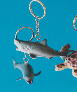 bPr BEAMS Science and Nature / Animal Keyring �r�[���X ���� ���z�E�|�[�`�E�P�[�X ���̑��̍��z�E�|�[�`�E�P�[�X