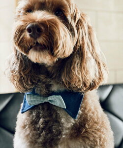 ySALE^20%OFFzROPE' PICNIC PASSAGE ycomif(R~t)*ROPE' PICNICzyDOGzݕtlN^C ysNjbN ybgpi ybgEFAEybg bh u[