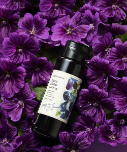 `gA`[ yz`gA`[ fB[v CXg [VEX lC`[YEFC XLPA ϐ bh