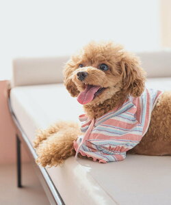 ySALE^40%OFFzROPE' PICNIC PASSAGE yDOGz}`{[_[u{ ysNjbN ybgpi ybgEFAEybg sN