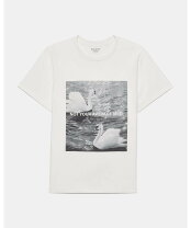 楽天市場】ケイトスペード（袖の長さ半袖）（Tシャツ・カットソー 