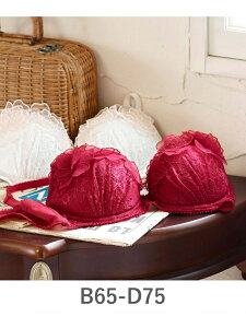 fran de lingerie emotional�G���[�V���i���R�[�f�B�l�[�g�u���W���[B65-D75�J�b�v �t�����f�����W�F���[ �C���i�[�E���[���E�F�A �u���W���[ �p�[�v�� ���b�h �z���C�g �O���[ �s���N �u���b�N �u��