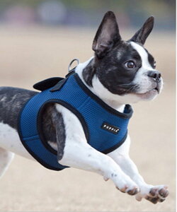 Magine PUPPIA:psA \tg xXg n[lX }[W ybgpi ybgpցEn[lXE[h O[ CG[ IW O[ sN lCr[ p[v ubN uE x[W 