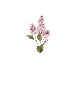 Francfranc A[gt[ u[QrA Cgp[v tt CeAEG IuWFEuEA[g p[v