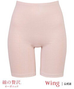 Wing ECO yȂґI[KjbNz Ci[ 3 ȍ ECO Ci[E[EFA ̑̃Ci[E[EFA x[W uE O[