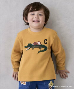 petit main ỹW[WzڌAbvPTVc i~IC gbvX Jbg\[ETVc lCr[ zCg u[