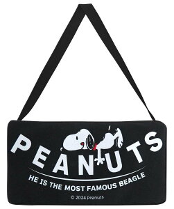 BACKYARD FAMILY ティッシュケース スヌーピー リラックマ ローラ インテリア・生活雑貨 トイレ用品・バス用品