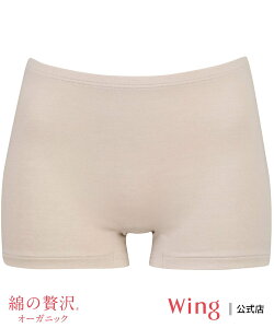 Wing ECO yȂґI[KjbNz Ci[ 1 ȍ ECO Ci[E[EFA ̑̃Ci[E[EFA x[W uE