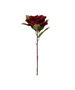 Francfranc A[gt[ }OmA bh tt CeAEG IuWFEuEA[g bh