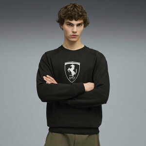 PUMA Y tF[ X|[cEFA V[h N[ XEFbg v[} X|[cEAEghApi ̑̃X|[cEAEghApi ubNyz