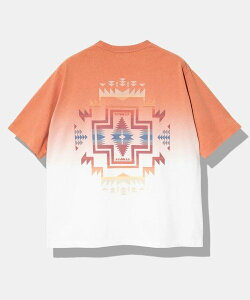 GSC MENS SELECT PENDLETON/�y���h���g�� Gradation dye Back Print Tee (MENS) �S�[�X���[�L�����o�� �g�b�v�X �J�b�g�\�[�ET�V���c �O���[�� �O���[ �s���N�y���������z