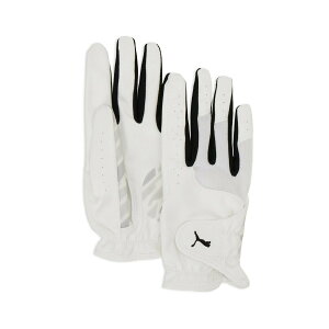 PUMA EBY St W p[ Obv O[u p v[} X|[cEAEghApi ̑̃X|[cEAEghApi zCg