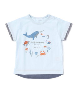 fillot de bebe reduction �y�������z�V���C�̒��Ԃ���T�V���c�x�r�[(70~90cm) �x�x �I�����C�� �X�g�A �}�^�j�e�B�E�F�A�E�x�r�[�p�i �x�r�[�g�b�v�X �u���[�y���������z