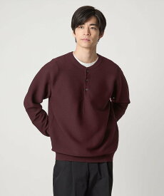 【SALE／40%OFF】UNITED ARROWS green label relaxing 【WEB限定】ガーターヘンリー ニット ユナイテッドアローズ グリーンレーベルリラクシング トップス ニット グレー ワインレッド ブラック【送料無料】