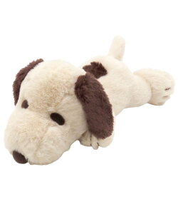 BACKYARD FAMILY LN^[ ʂ ӂӂ͂͂ S [ CeAEG EQ[EtBMA