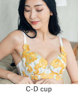 fran de lingerie GRACE Grande �炭�炭�␳�O���[�X�O�����f �R�[�f�B�l�[�g�u���W���[ C65-D85�J�b�v �t�����f�����W�F���[ �C���i�[�E���[���E�F�A �u���W���[ ���b�h �p�[�v�� �s���N �z���C�g 