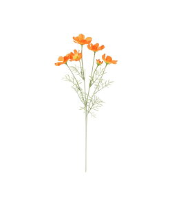 Francfranc A[gt[ RXX IW tt CeAEG IuWFEuEA[g IW