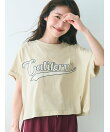 【新色追加】レギュラーウェイトロールアップロゴTシャツ
